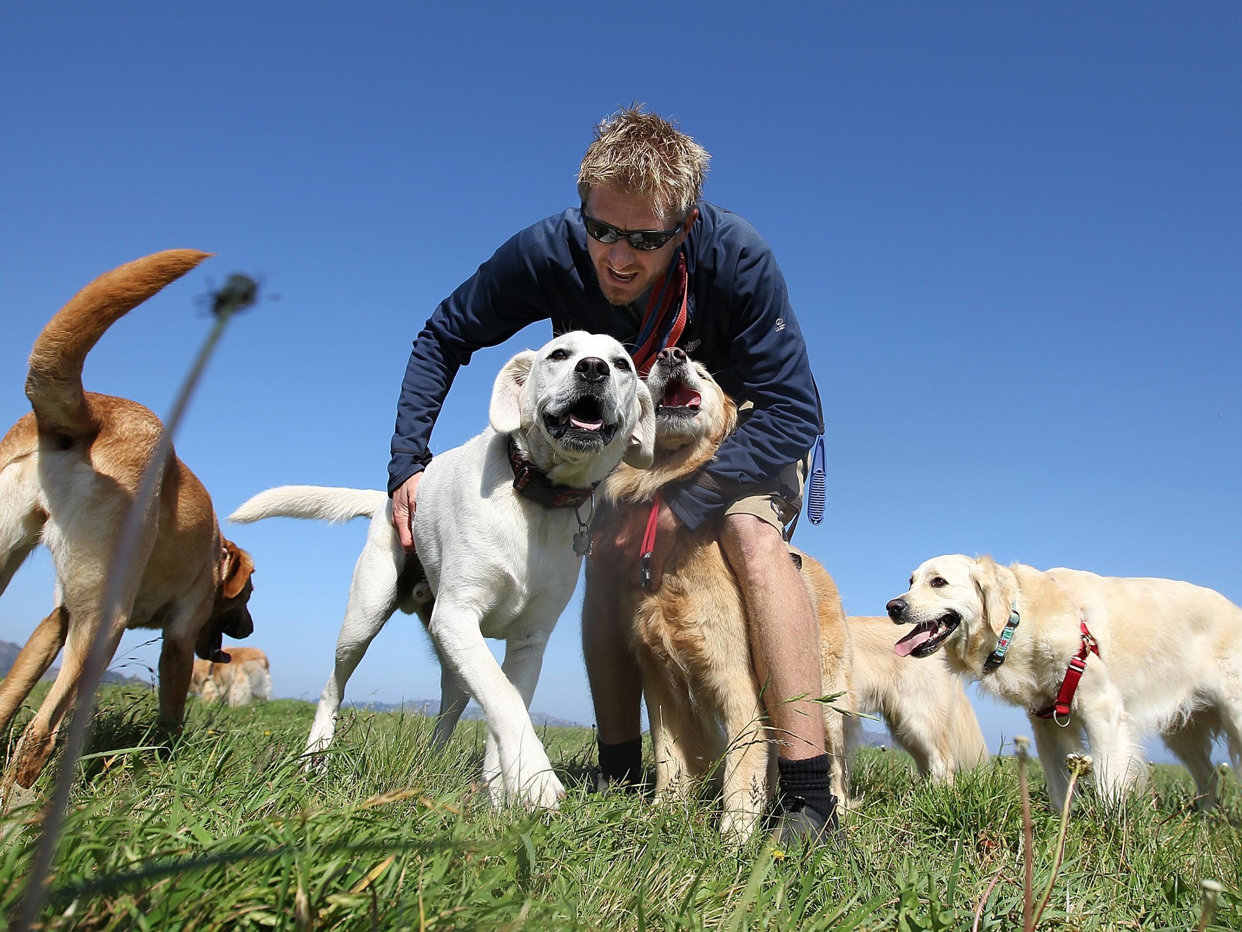Man’s best friend: owning a dog has been linked with health benefits