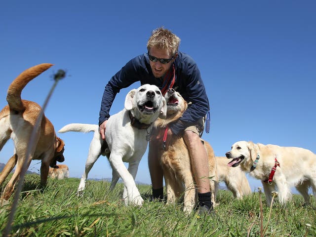 Man’s best friend: owning a dog has been linked with health benefits 