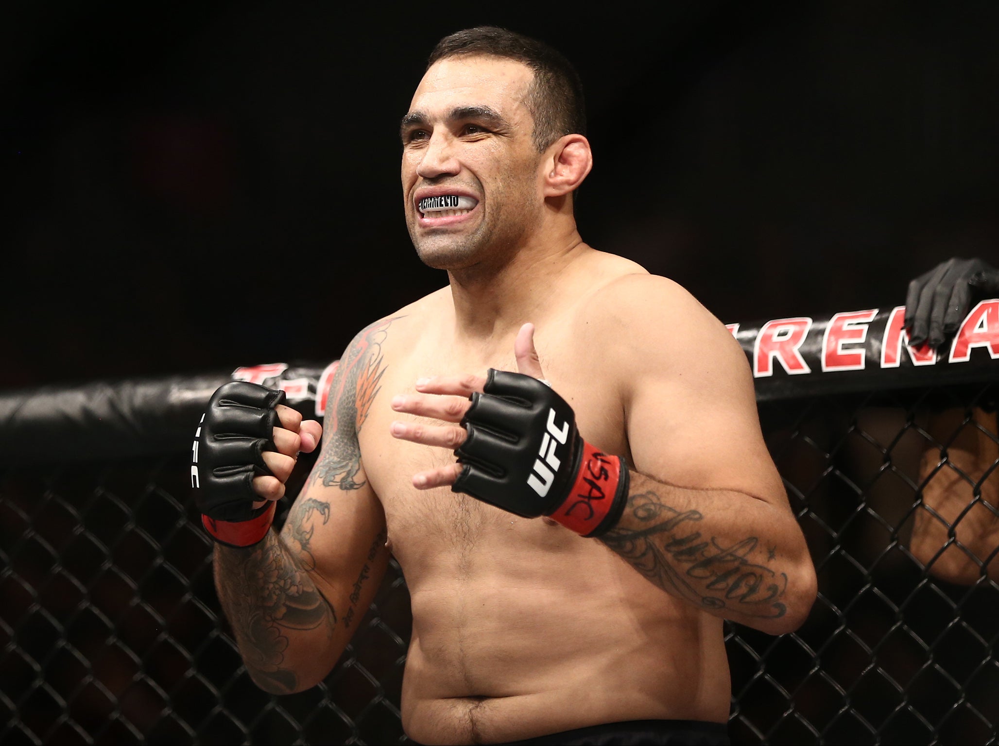 Werdum's Brazilian Jiu Jitsu is supported by an excellent level of Muay Thai striking