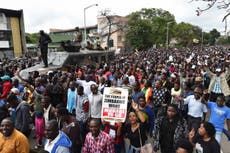 ‘Day of rage’ becomes celebration as thousands demand Mugabe’s ouster