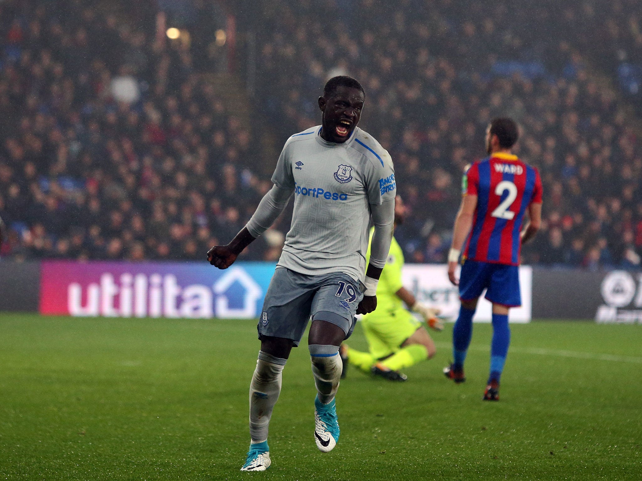 Oumar Niasse celebrates equalising for Everton