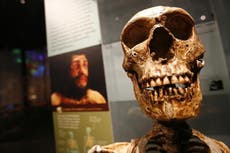 Skull found in China could re-write story of human evolution
