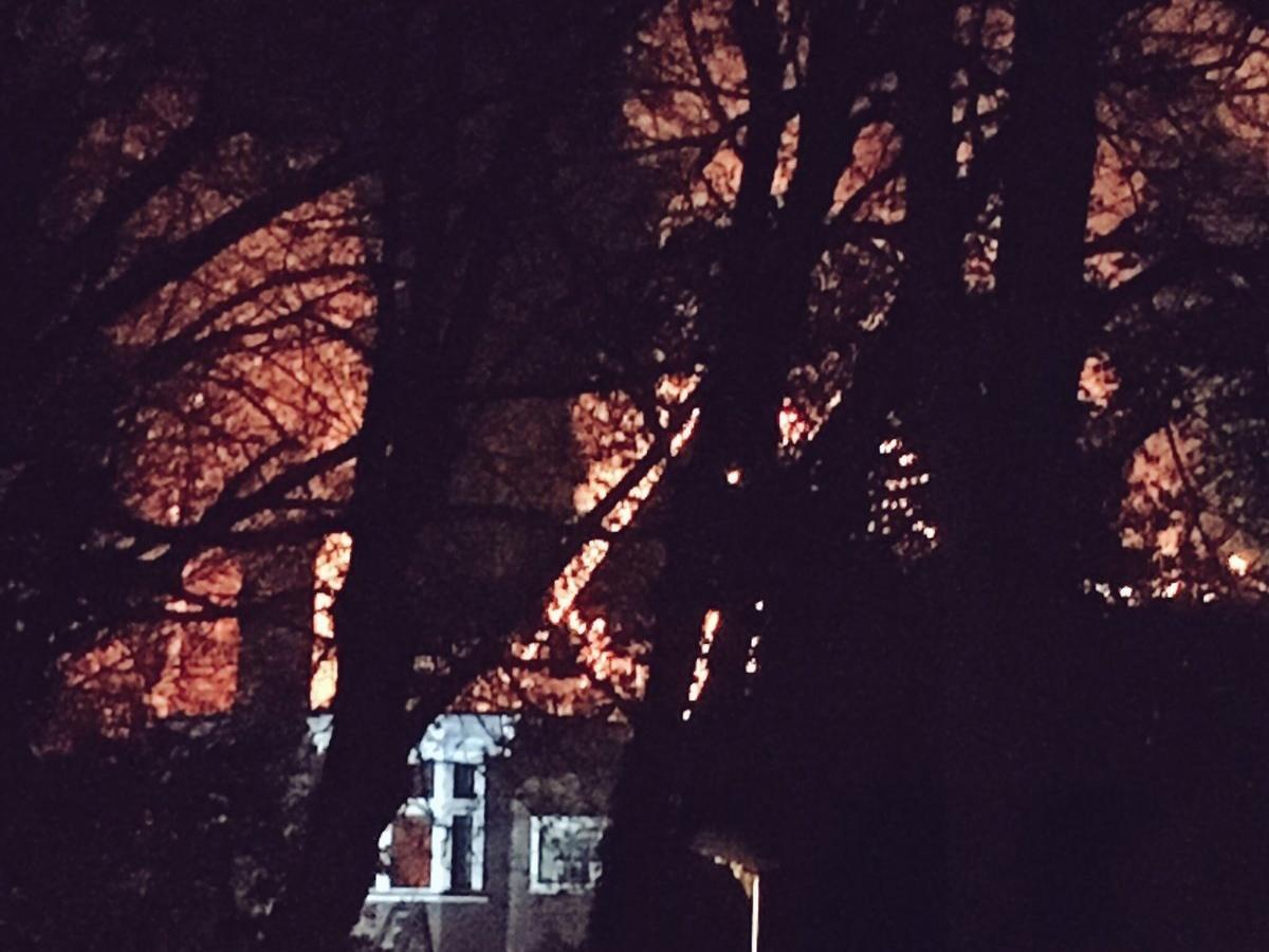 The fire at Daleham Gardens, Hampstead, that left a woman dead