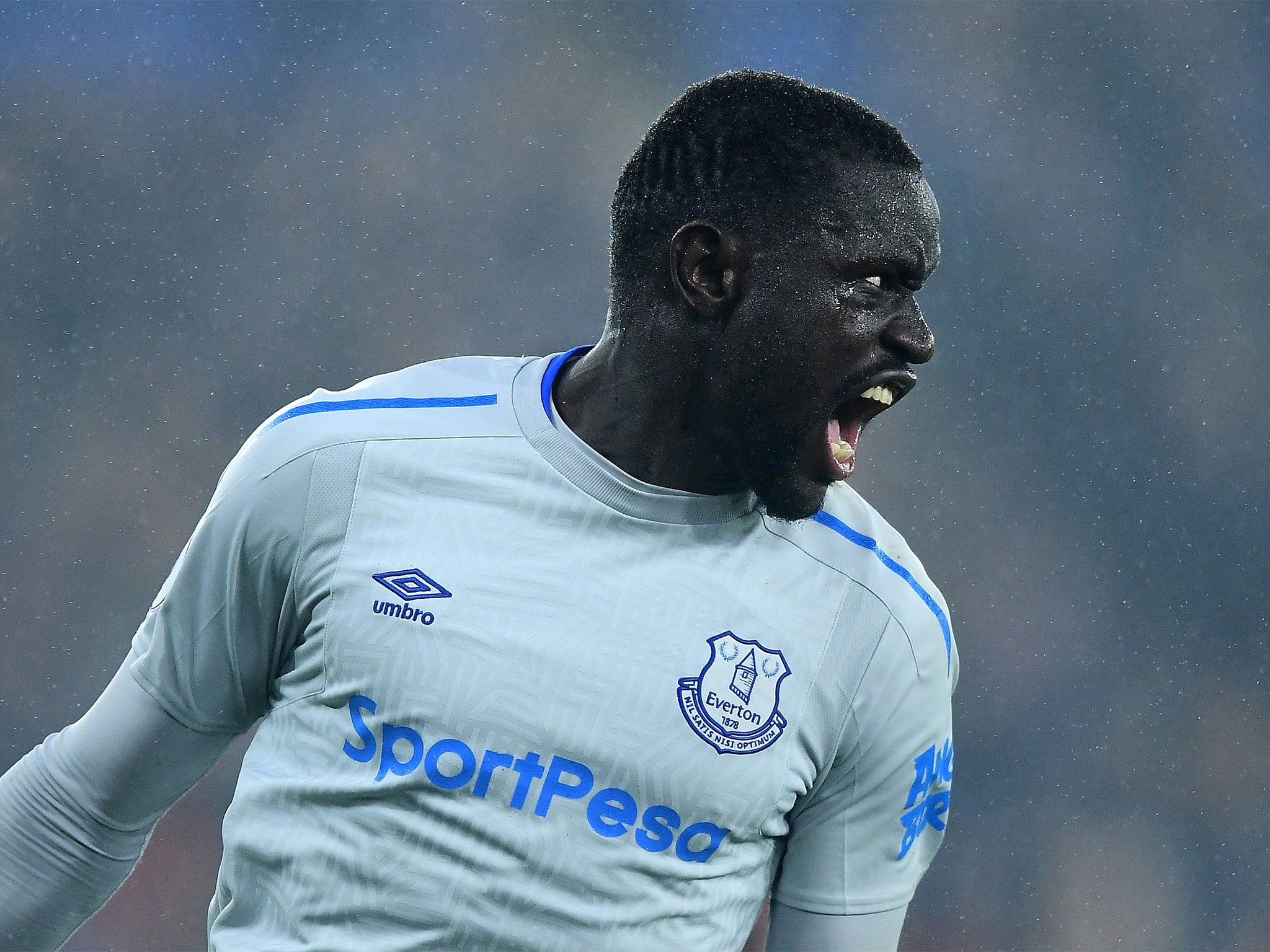 Oumar Niasse dived to win a penalty against Palace on Saturday