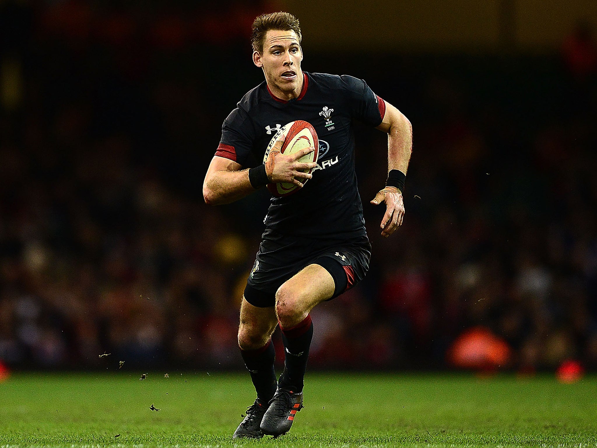 Liam Williams has been ruled out of the remaining autumn internationals