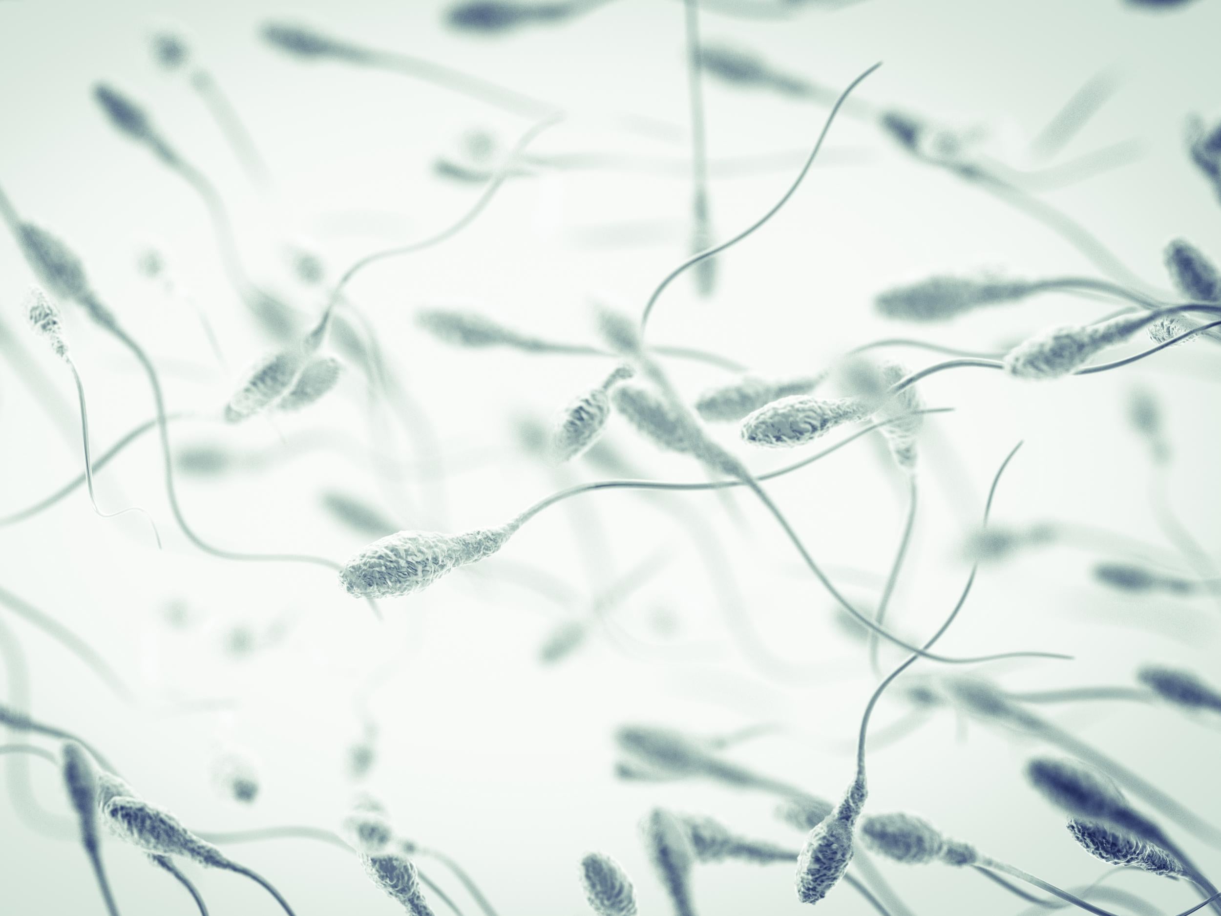 Exposure to air pollution may result in abnormally shaped sperm cells