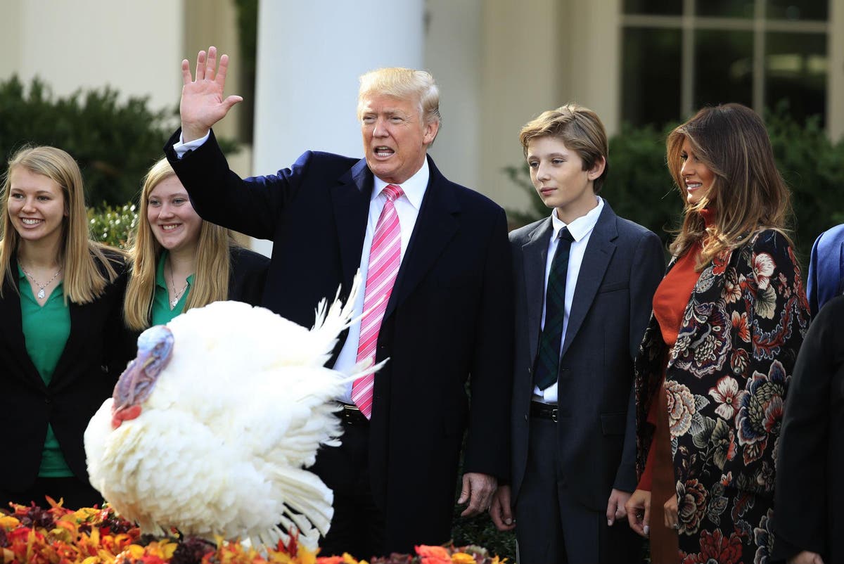 Trump says he can't reverse Obama's turkey pardons 'Tater and Tot, you can rest easy' The