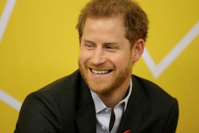 Prince Harry will focus on conservation