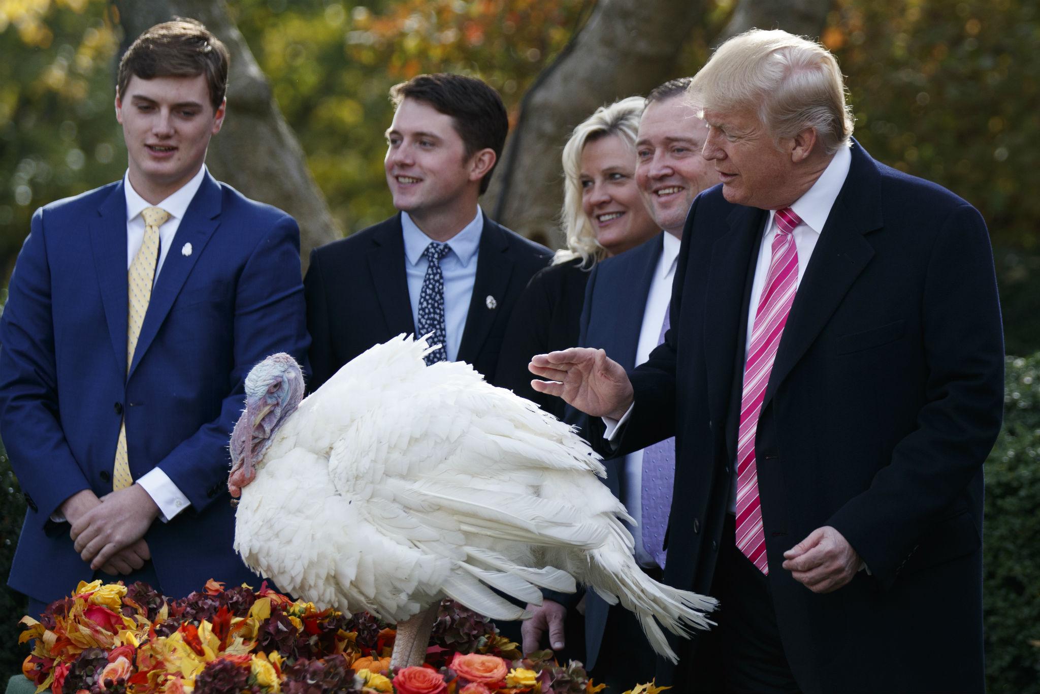 Donald Trump spares a turkey on Thanksgiving