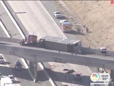 Cow Escapes On Way To Slaughterhouse Smashes Through Metal Fence Cows Rain Down On Drivers After Crash In Utah