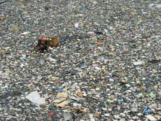 ‘Lost 99%’ of microplastics could now be identified with new method