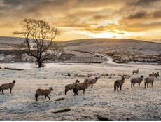 UK facing second night of freezing temperatures as cold snap continues