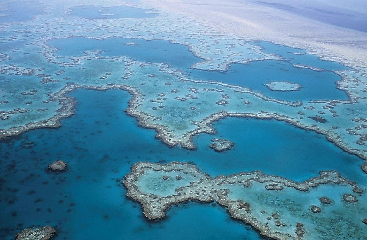 Expert Richard Fitzpatrick thinks there's still hope for the Great Barrier Reef