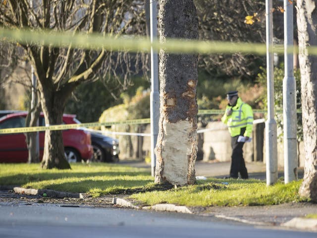 Police at the scene where a stolen car crashed into a tree in Stonegate Road, Leeds