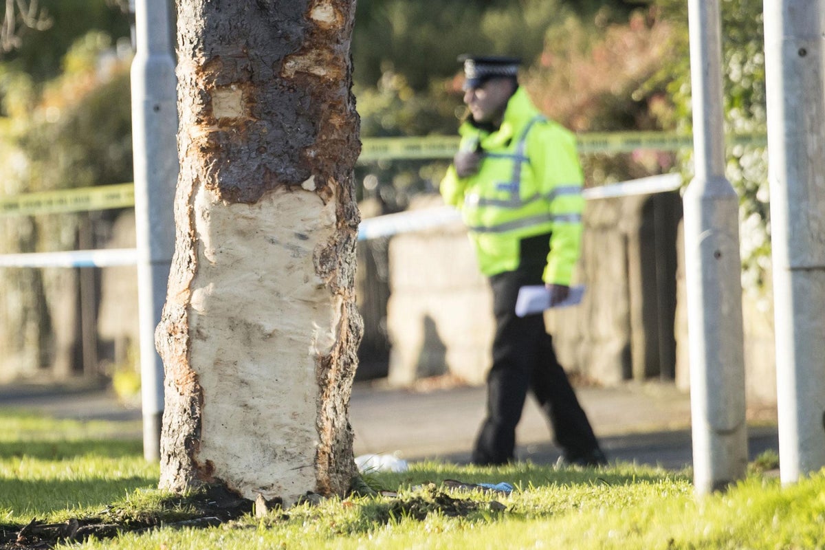 Leeds car crash: 15-year-old charged with causing death of three ...