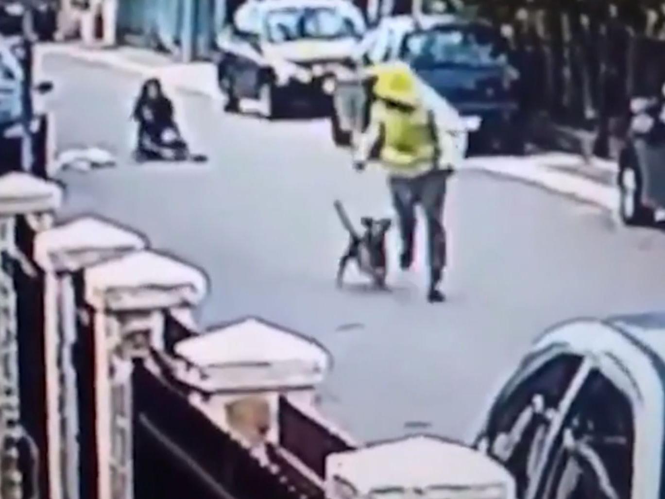 The apparent mugger flees as the heroic dog gives chase