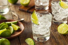 Gin drinkers more likely to be sexy and aggressive, finds study