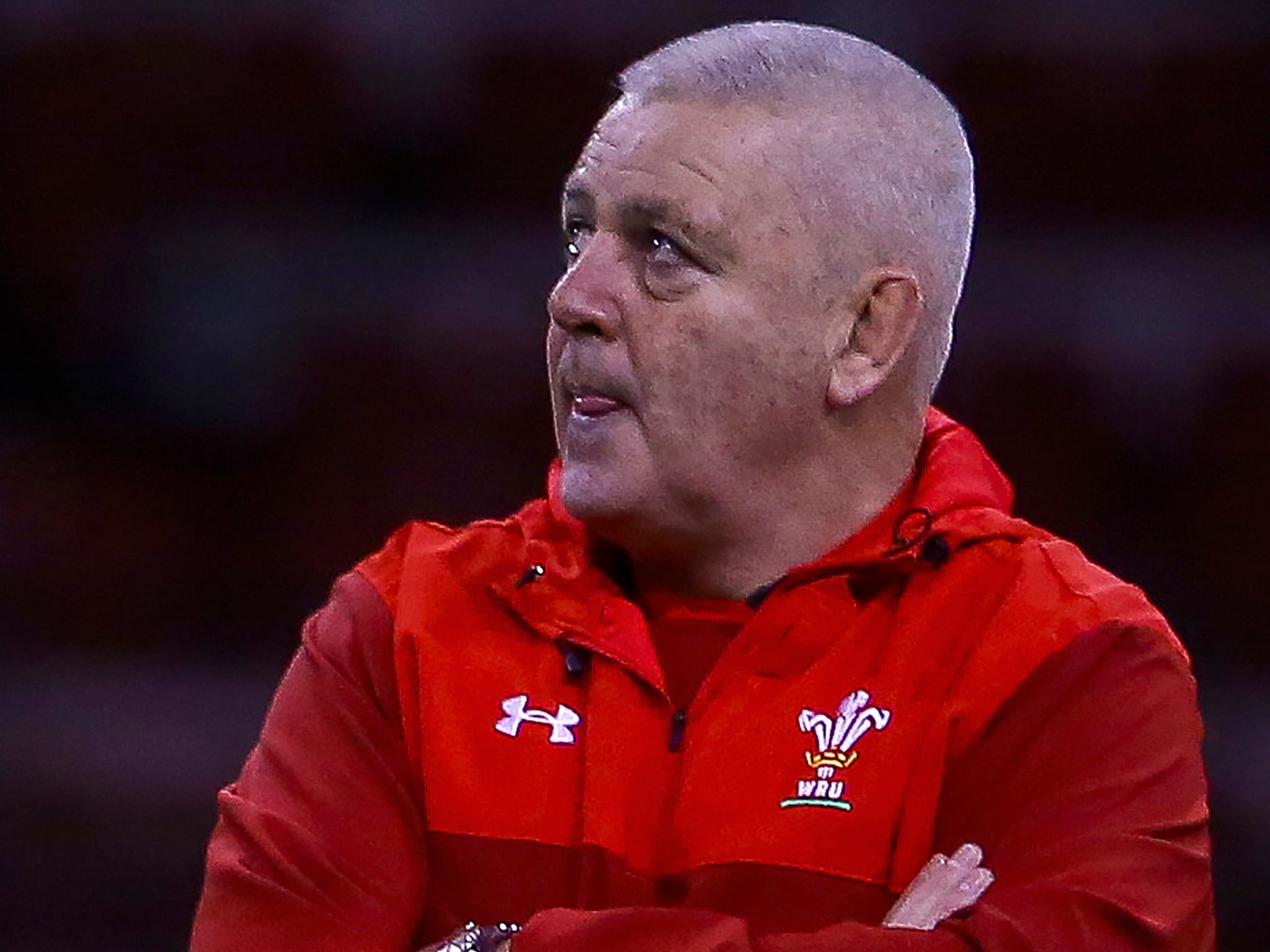 Gatland also missed out despite his achievement with the British and Irish Lions