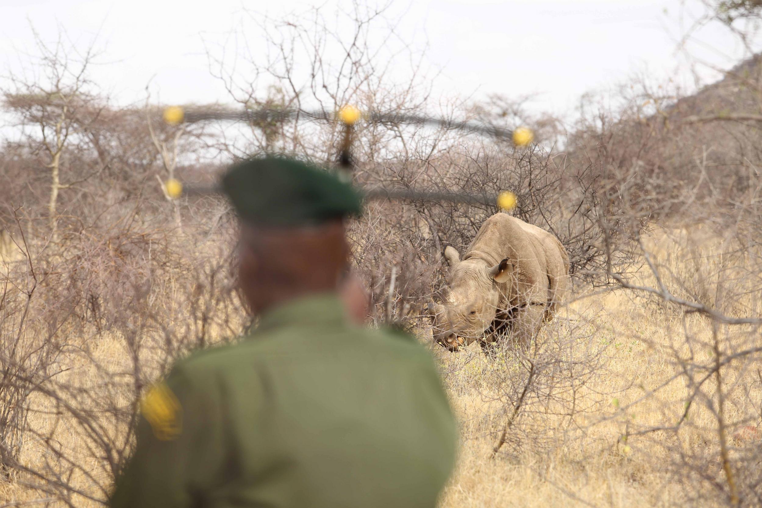 The rhino trackers are equipped with GPS