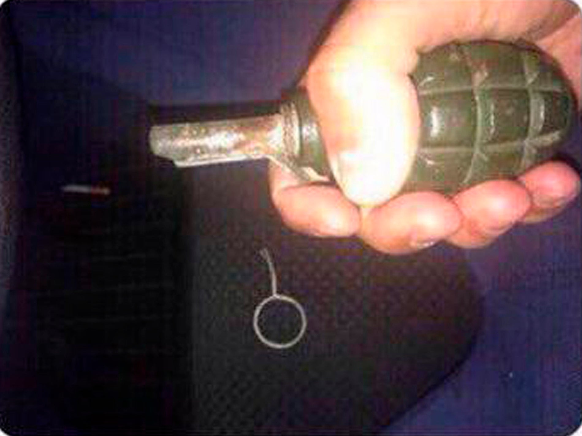 Alexander Chechik died soon after he posted a photograph of a hand grenade from which he had removed the pin