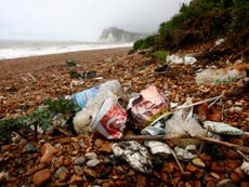 Litter on British beaches rises 10 per cent as charities urge new tax 