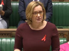 Don’t blame Amber Rudd for reminding MPs of ‘the bigger picture’