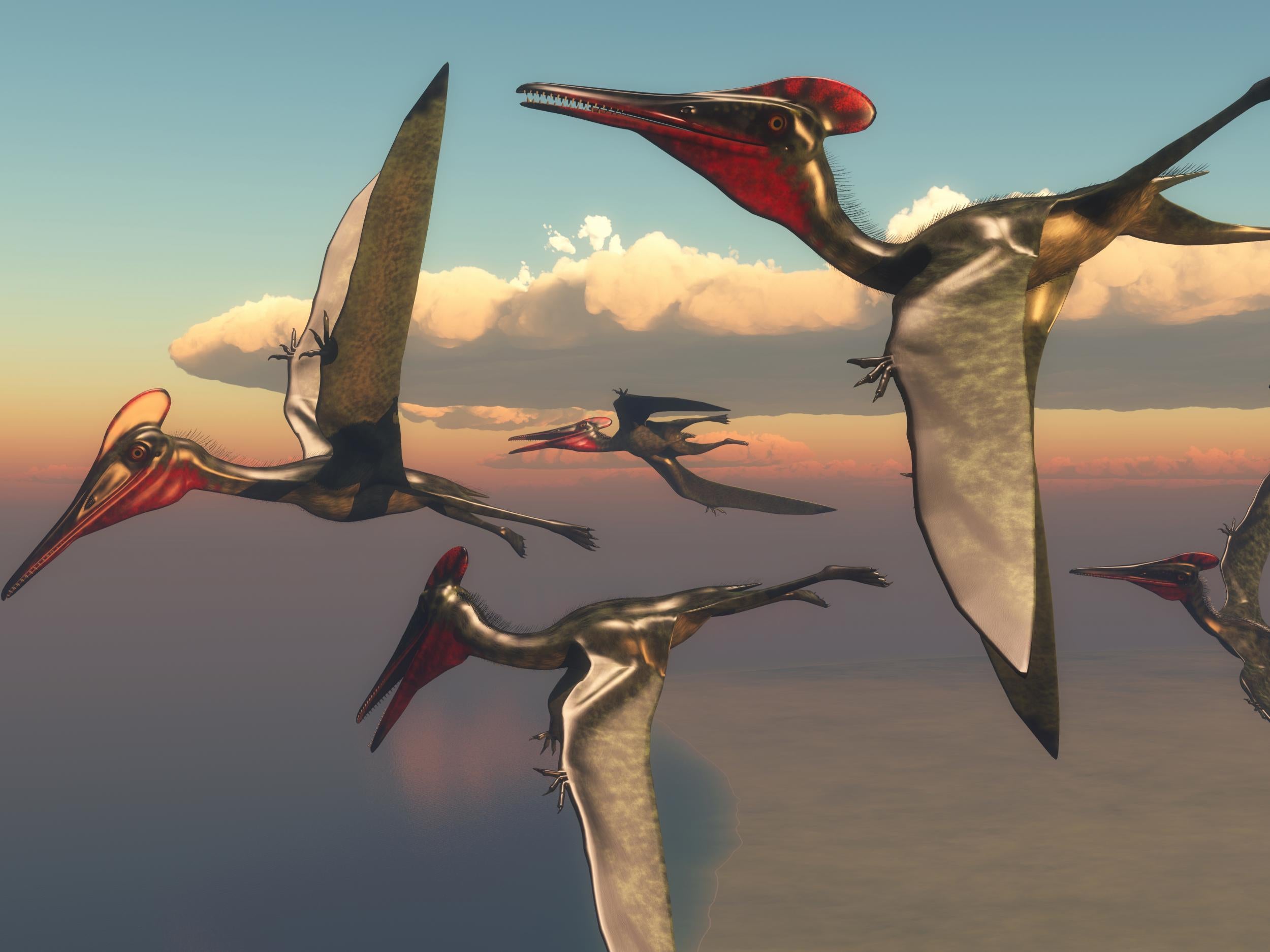 Hundreds of pterosaur eggs help reveal the early life of flying reptiles