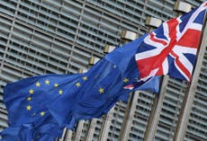 Just how important is Brexit to officials in Brussels?