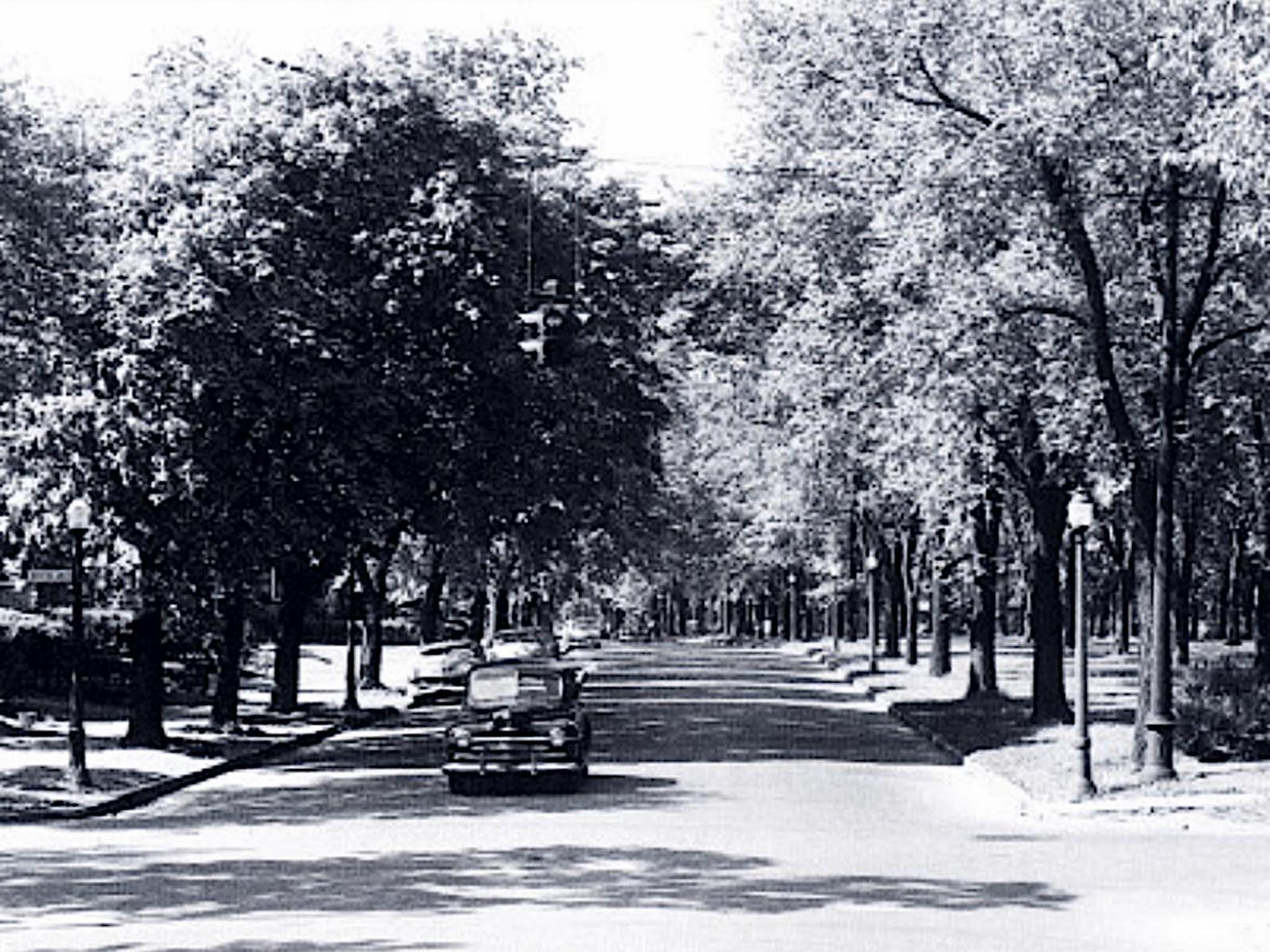 A 1953 photograph of Humboldt Parkway (Buffalo &amp; Erie County Historical Society)