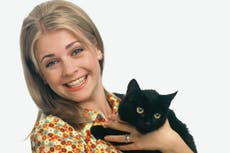 Sabrina the Teenage Witch is getting a Netflix reboot