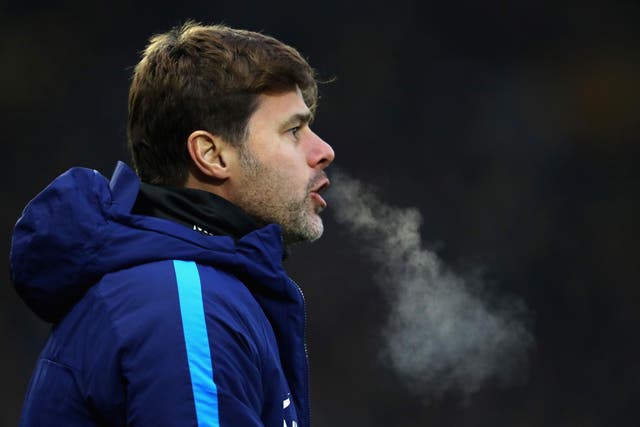 Mauricio Pochettino has demanded a dose of reality for his team