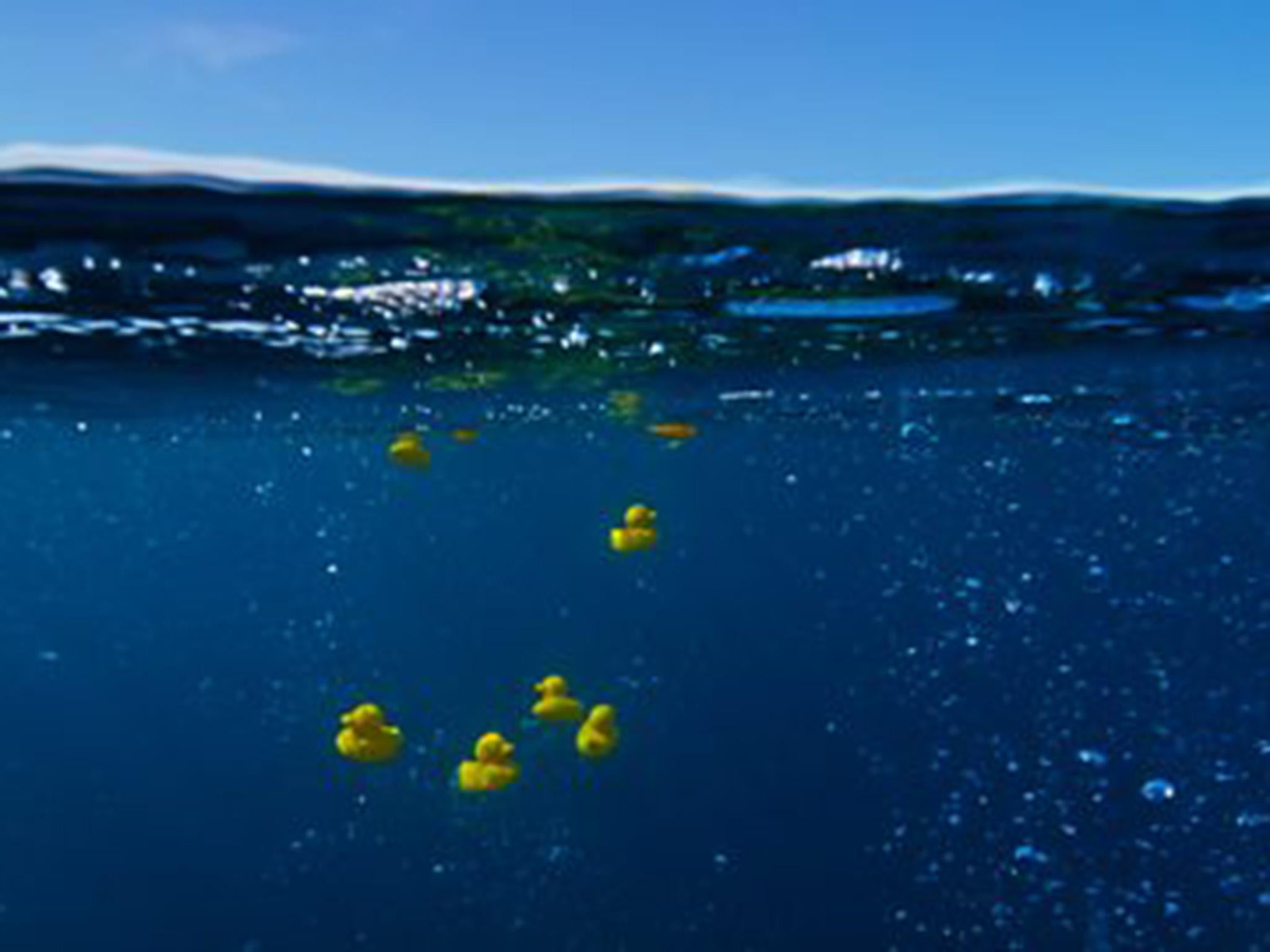 Duckgate?: Producers released 250 plastic toys into the ocean – but say they collected every single one after filming