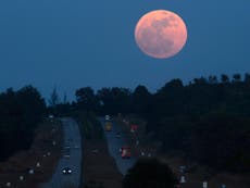 Best pictures of the supermoon across the world