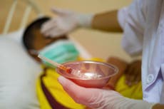 Philippines orders probe into dengue vaccine for 730,000 children