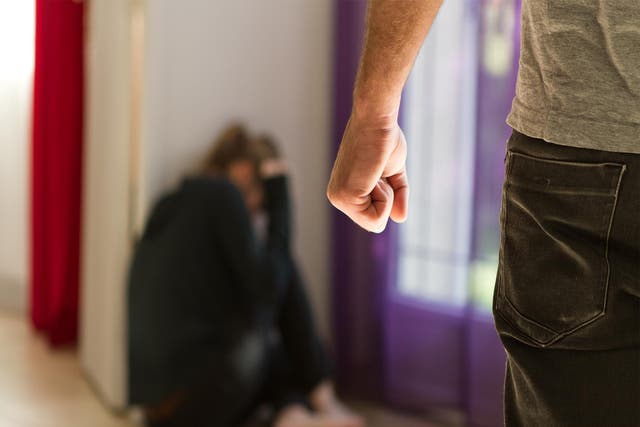 Women's Aid criticises the government for only introducing so-called special measures to protect domestic violence victims in criminal courts but failing to do the same in family courts