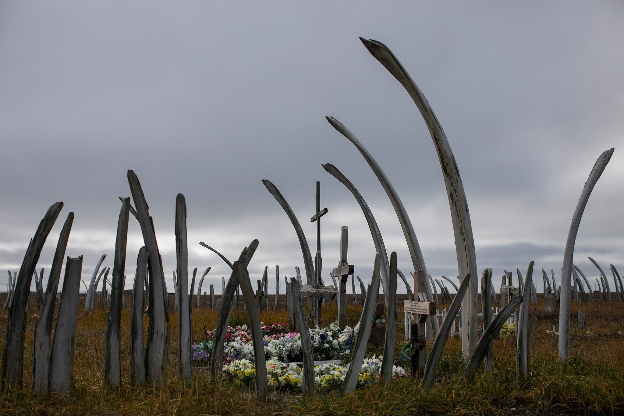 A fence around the cemetery in Point Hope is made of whale bones
