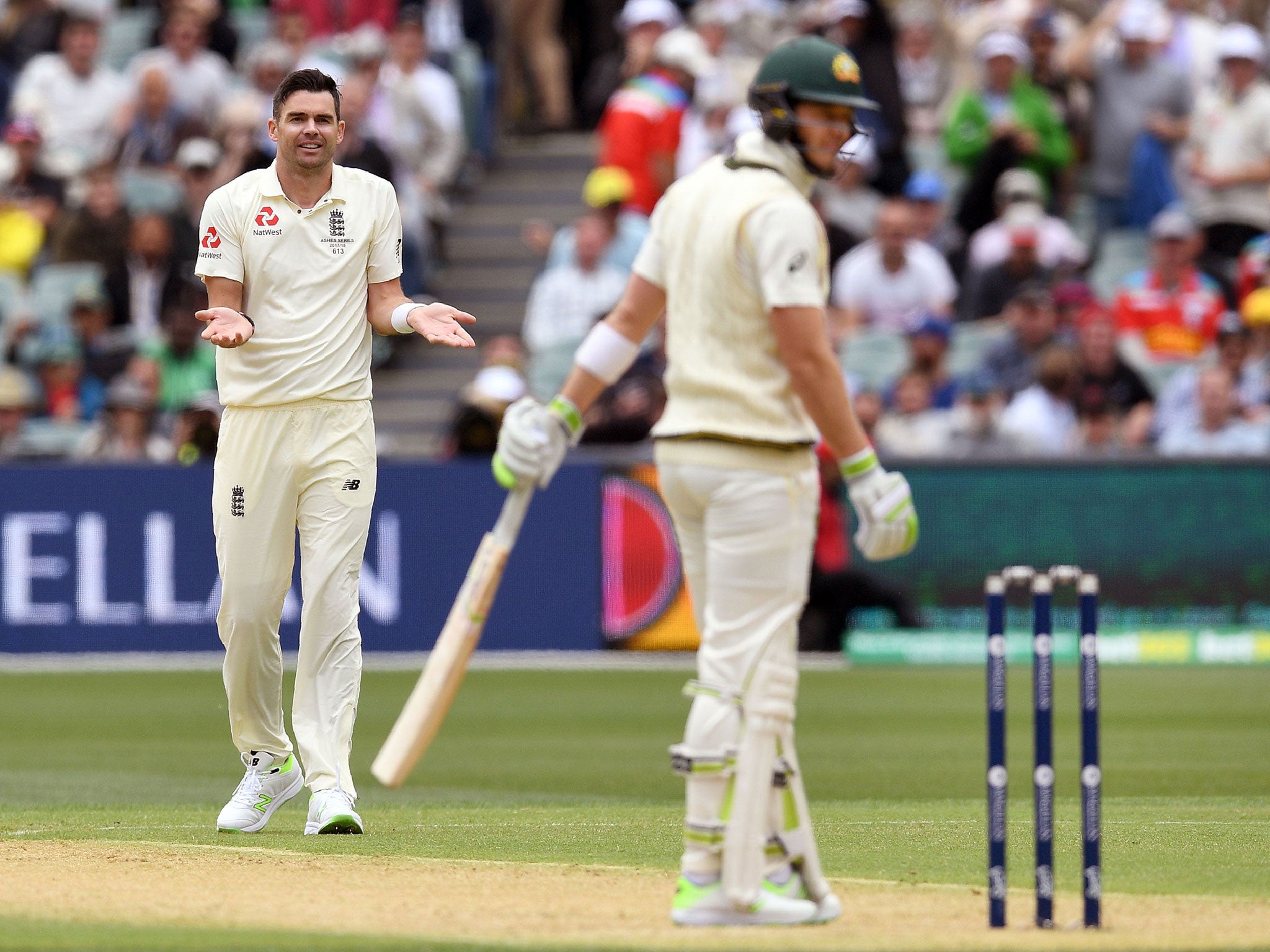 James Anderson appeals for an LBW decision against Tim Paine on the second day of the second Test