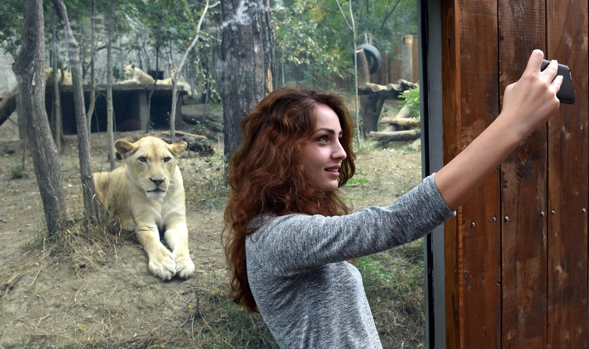 A woman takes a selfie in front of the lions open-air cage at the Tbilisi zoo