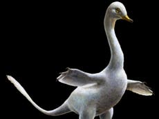 New dinosaur that moved underwater like a penguin discovered