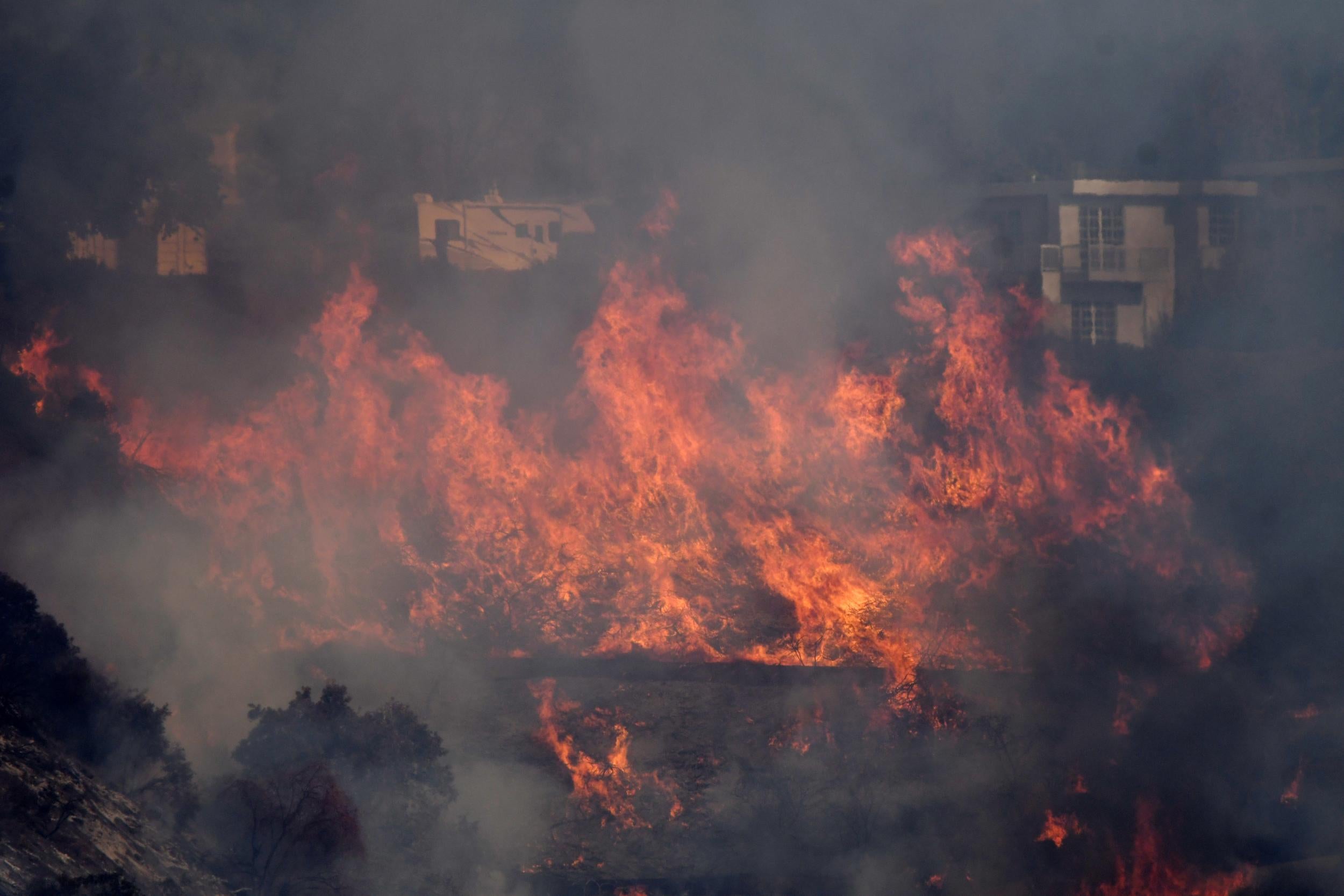 The fire raged through the ritzy neighbourhood of Bel Air