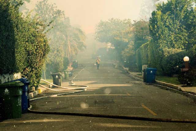 The fires this week devastated some of LA's ritziest neighbourhoods