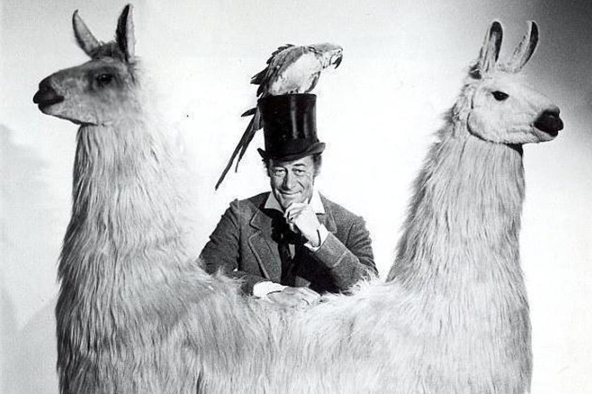 The Top 10 Foreign Words That Sound Like Their Opposite in English