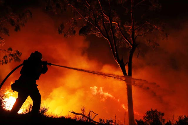 A firefighter is working on extinguishing the Lilac Fire in southern California