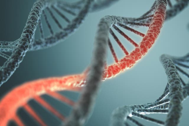 The new tool doesn't actually cut DNA; instead it activates genes that are associated with disease, and reverses the effects of serious conditions like diabetes
