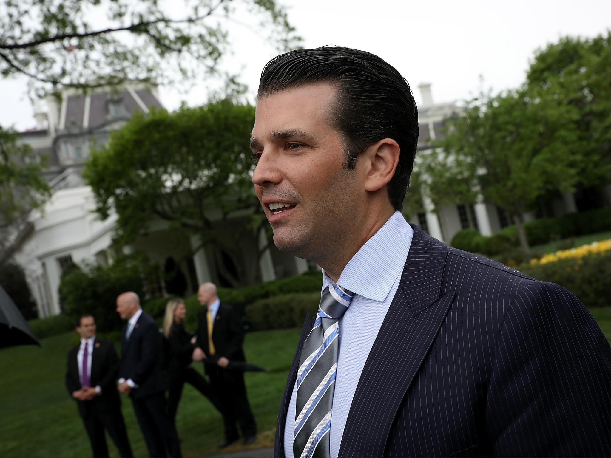 Mr Trump Jr has taken over control of the Trump Organisation while his father is president