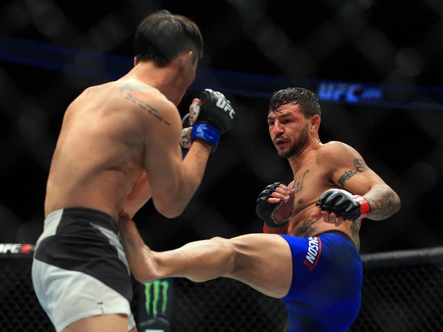 Cub Swanson and Do-hoo Choi stole the show at UFC 206