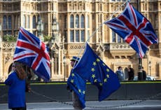 Tory MPs defy party line over single market amendment