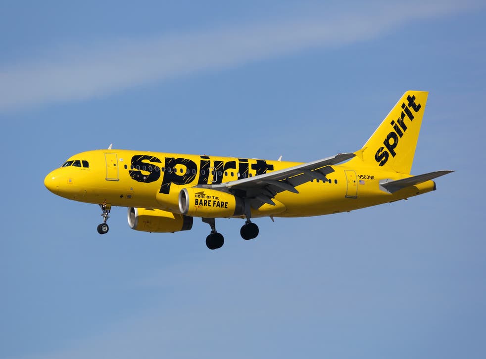 <p>The punch-up occurred on a Spirit Airlines flight</p>