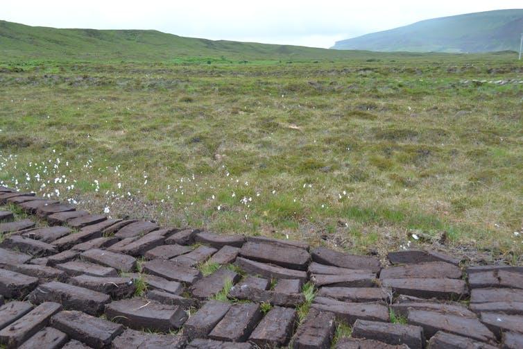 Peat, used for fuel, is an essential ingredient in whisky