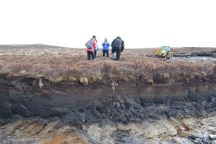 Layers of different coloured peat tell their own story